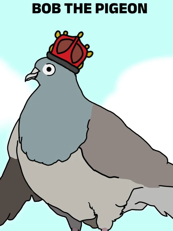 Bob the pigeon